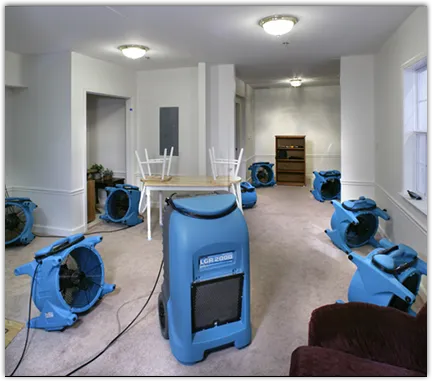 Water Extraction & Removal in Grand Junction, CO