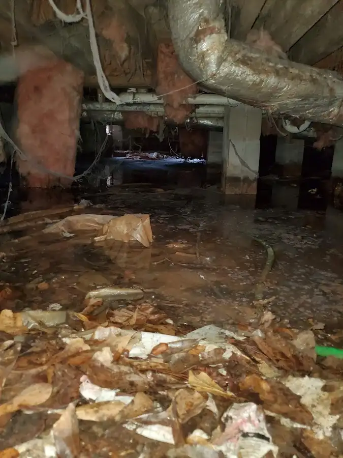 Crawl space flood assessment for Commercial Water Damage Restoration in Grand Junction