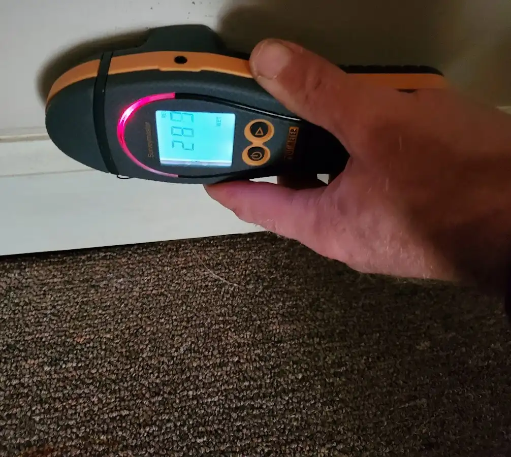 Moisture detection at baseboard during Sewage Cleanup & Sanitation in Grand Junction
